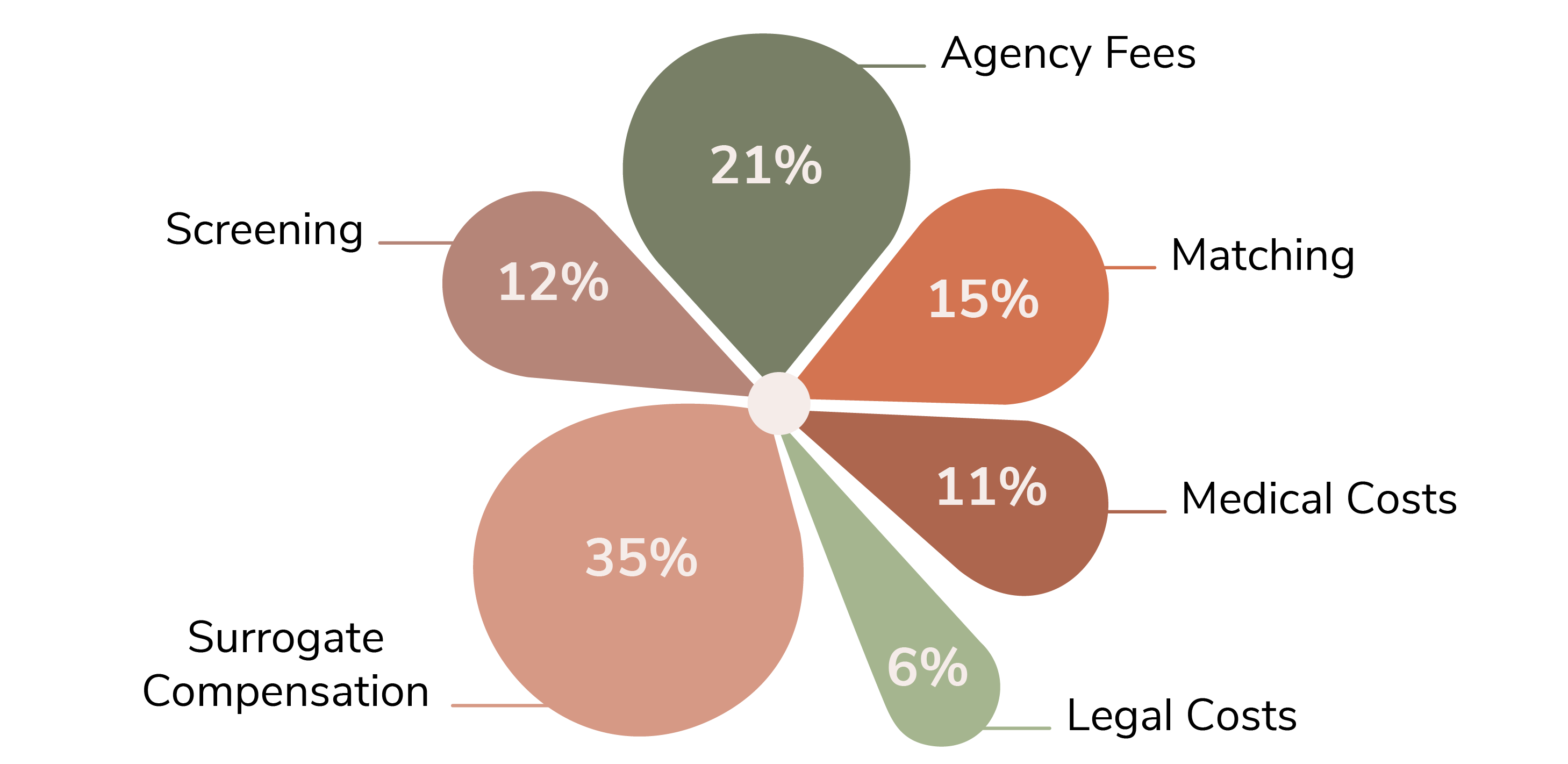 Surrogacy Cost Breakdown in Maine